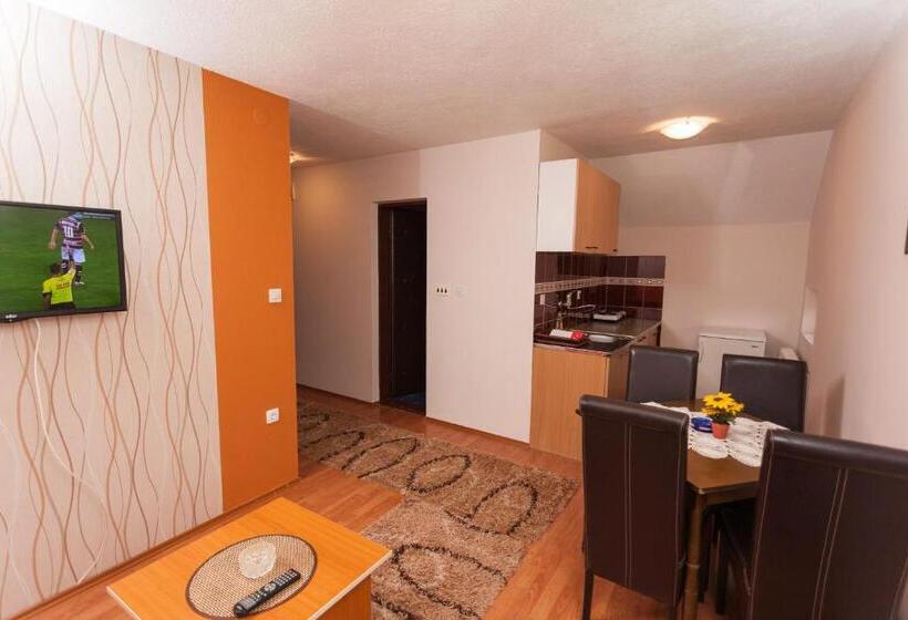 آپارتمان 1 خوابه با چشم‌انداز باغ, Guesthouse Dabić