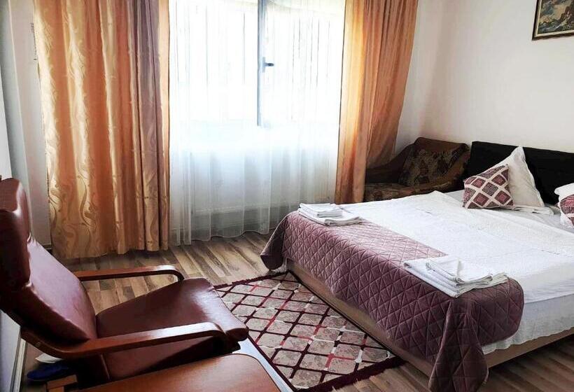 اتاق استاندارد, Pensiunea Dana