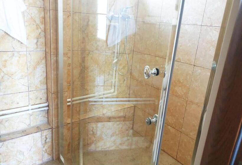 اتاق استاندارد سه نفره, Pensiunea Dana