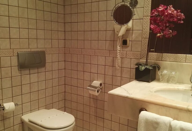 اتاق استاندارد یک نفره, Spa Tudanca Aranda