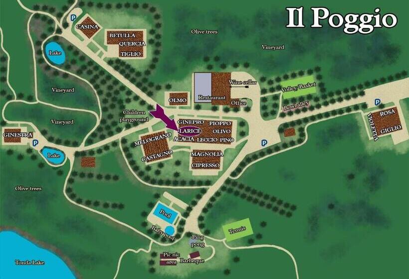 Апартаменты 1 Спальня с Террасой, Borgo Il Poggio Agritourismo