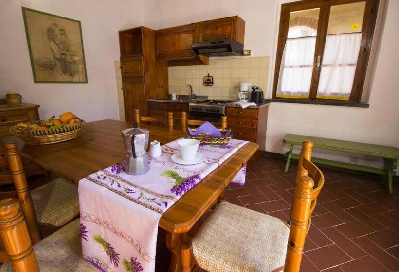 Апартаменты 1 Спальня Нижний Этаж, Borgo Il Poggio Agritourismo