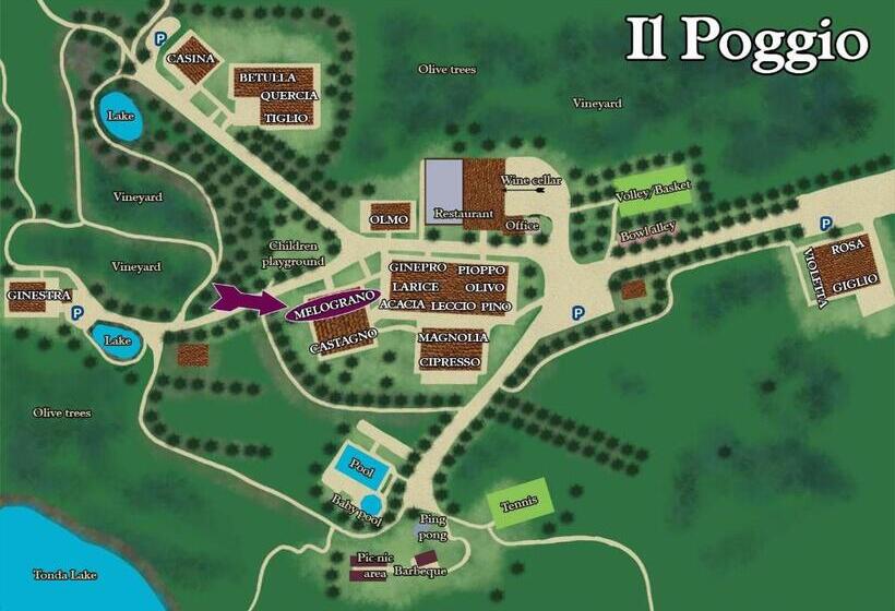 Апартаменты Дюплекс 1 Спальня, Borgo Il Poggio Agritourismo