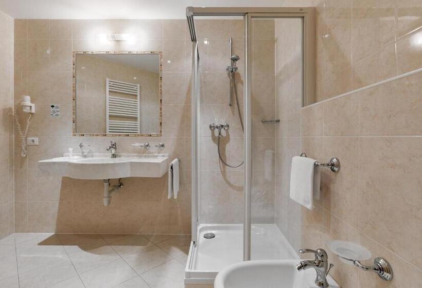 Номер Economy, Wellness Sporthotel Ratschings