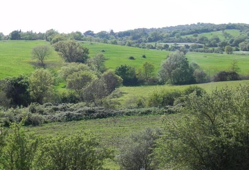 Номер Стандарт, B&b Monte Di Bu