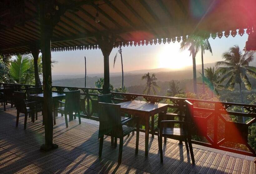Номер Стандарт, D Kailash Retreat