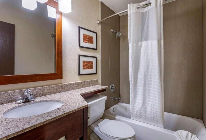 Pokój Standard Łóżko King Size, Comfort Inn Nashville West