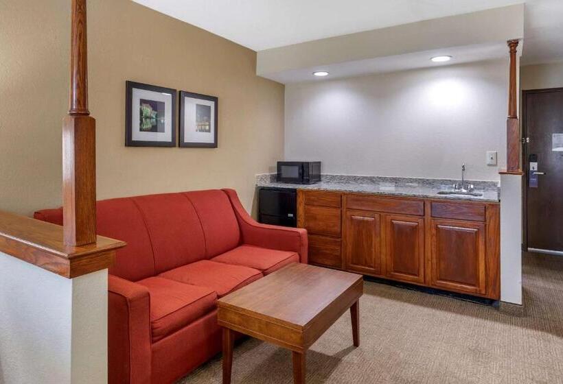 Suite, Comfort Inn Nashville West