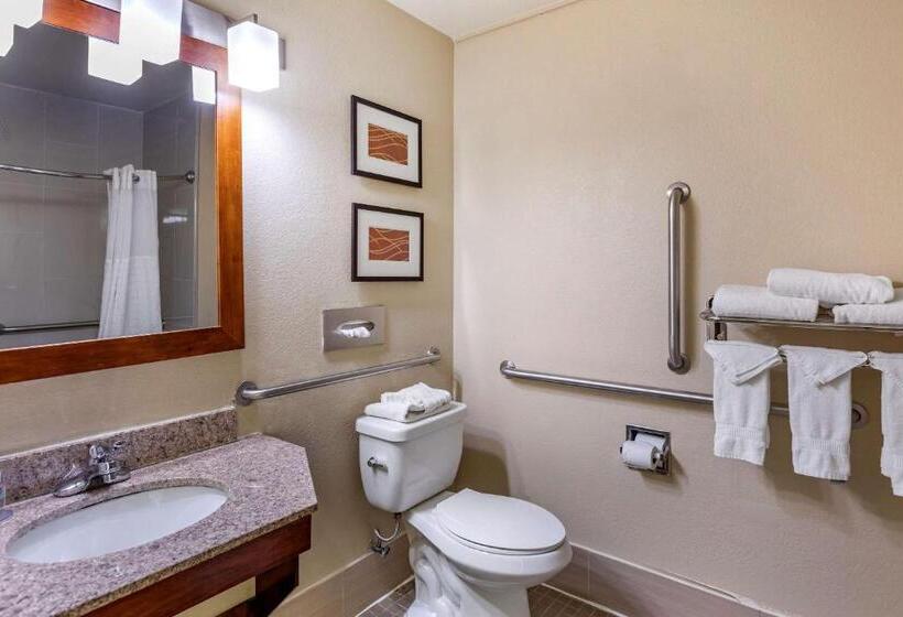 Pokój Typu Standard Łóżko King Przystosowany dla Osób Niepełnosprawnych, Comfort Inn Nashville West