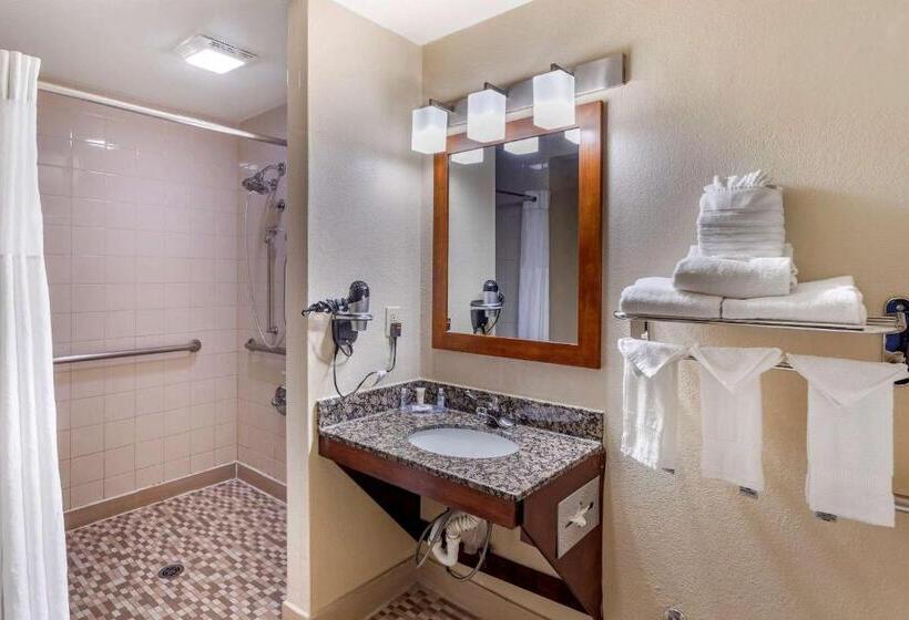 Pokój Typu Standard Łóżko King Przystosowany dla Osób Niepełnosprawnych, Comfort Inn Nashville West