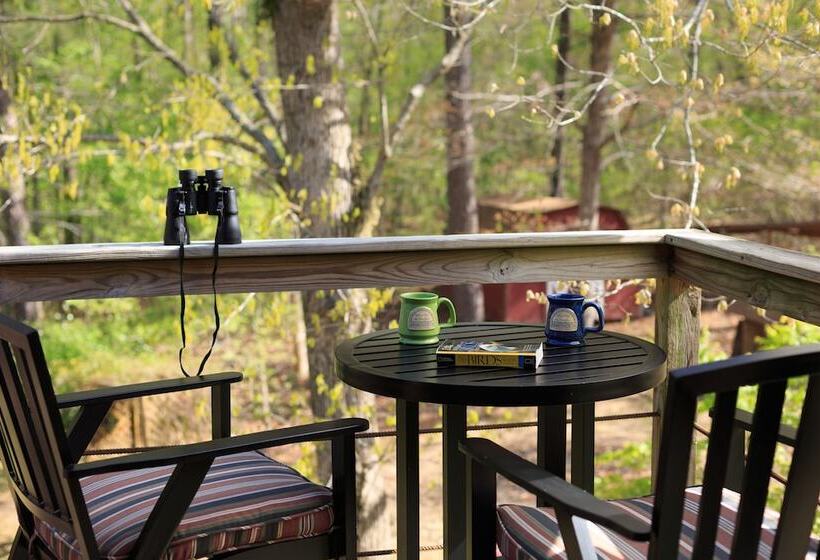 Номер Стандарт, Tiffany S Bed And Breakfast