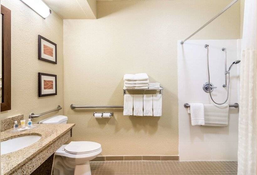 Люкс Адаптированный для Инвалидов, Comfort Suites