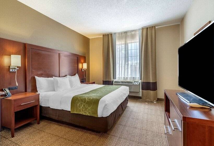 Люкс, Comfort Suites