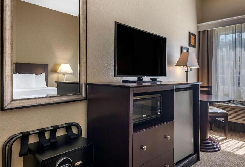 스탠다드 룸 킹사이즈 침대, Comfort Inn & Suites Deland  Near University