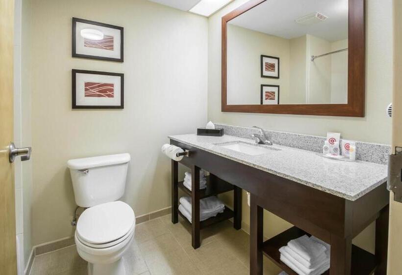 스위트 킹사이즈 침대, Comfort Inn & Suites Deland  Near University