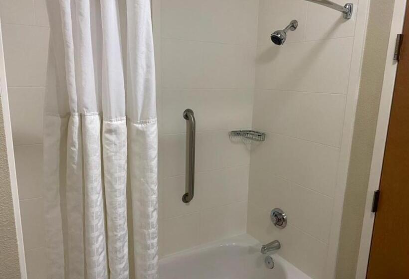 장애인을 위한 킹사이즈 침대 스탠다드 룸, Comfort Inn & Suites Deland  Near University