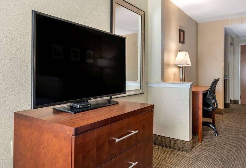 스위트, Comfort Inn & Suites Deland  Near University