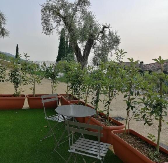 Апартаменты 1 Спальня Нижний Этаж, Agriturismo Le Anze