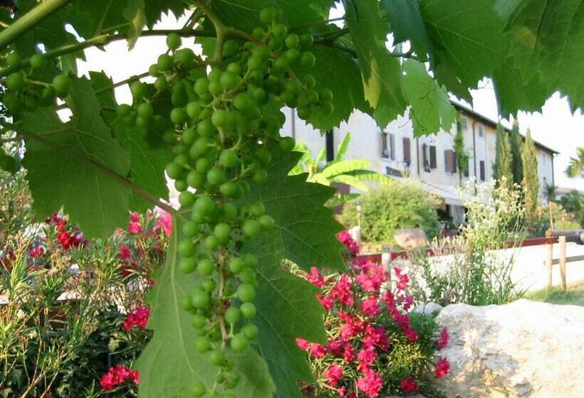 Номер Стандарт, Agriturismo B&b Le Coste