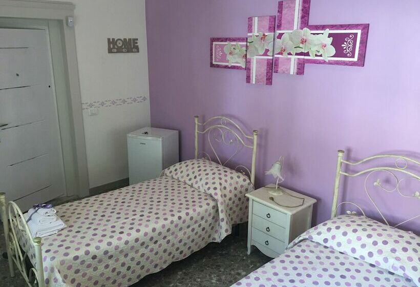 Номер Стандарт, B&b Da Mino