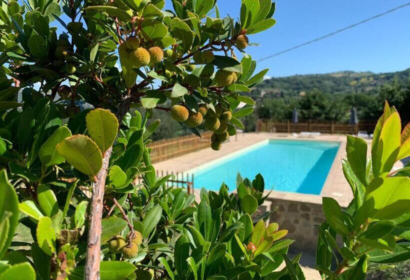 패밀리 룸, Agriturismo La Palazzetta Di Assisi