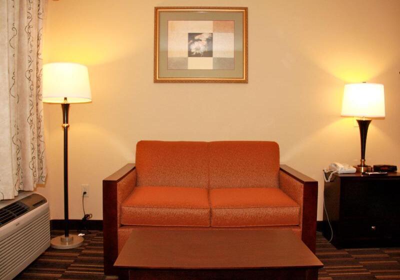 스탠다드 룸 킹사이즈 침대, Best Western Greenville Inn