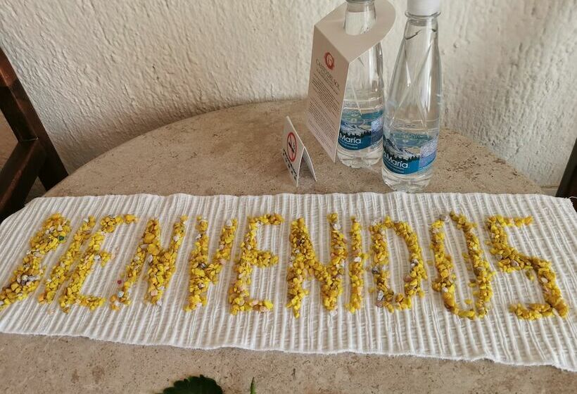 Standard Stúdió Szoba, Canto Del Sol Puerto Vallarta All Inclusive