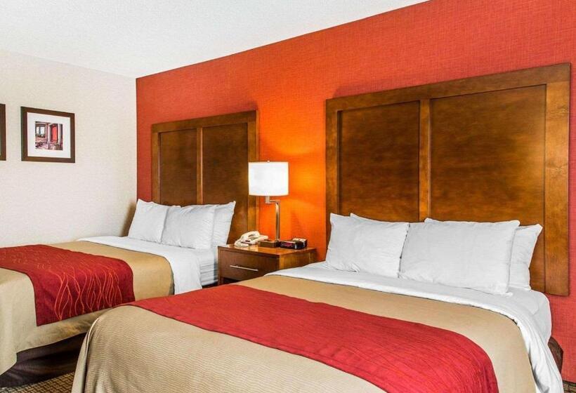 스탠다드 룸 더블 침대 2개, Comfort Inn Boston
