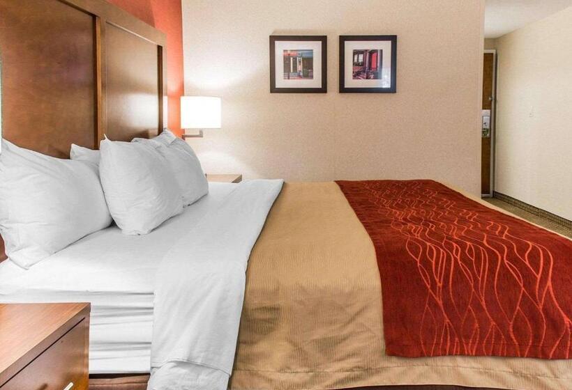 스탠다드 룸 킹사이즈 침대, Comfort Inn Boston