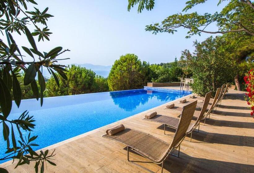 Вилла 1 Спальня, Pine Bay Holiday Resort