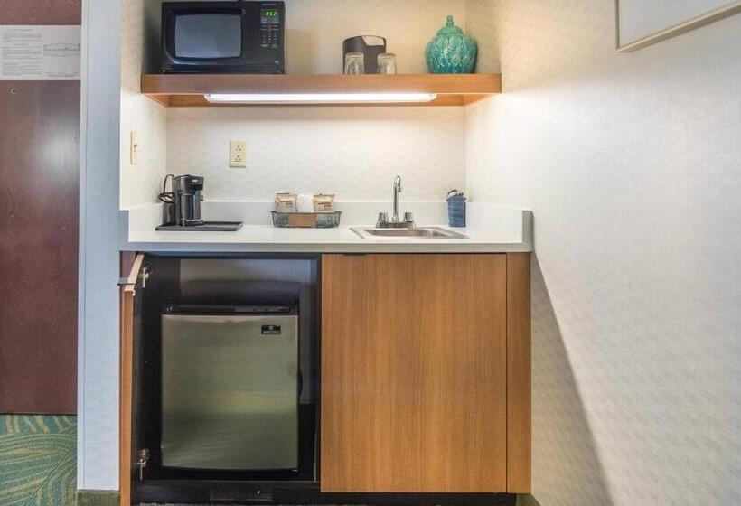 Standaard Studio, Springhill Suites By Marriott Chicago Elmhurst Oakbrook Area