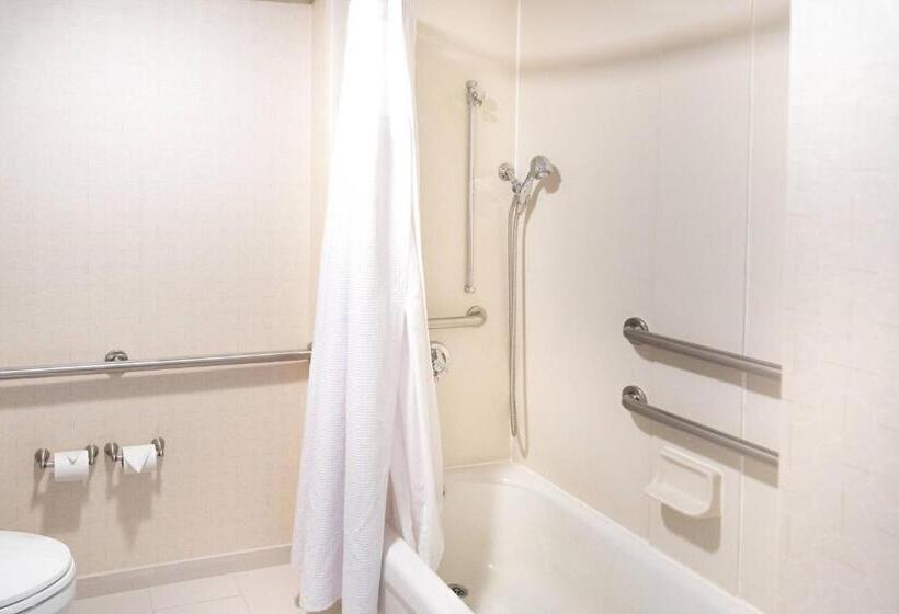 Standaard Studio met Kingsize Bed, Springhill Suites By Marriott Chicago Elmhurst Oakbrook Area