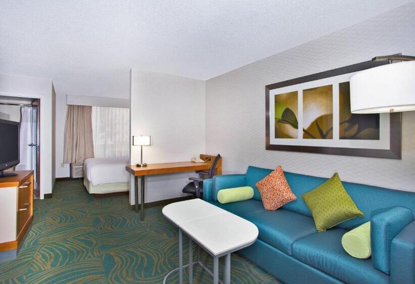 Standaard Studio met Kingsize Bed, Springhill Suites By Marriott Chicago Elmhurst Oakbrook Area