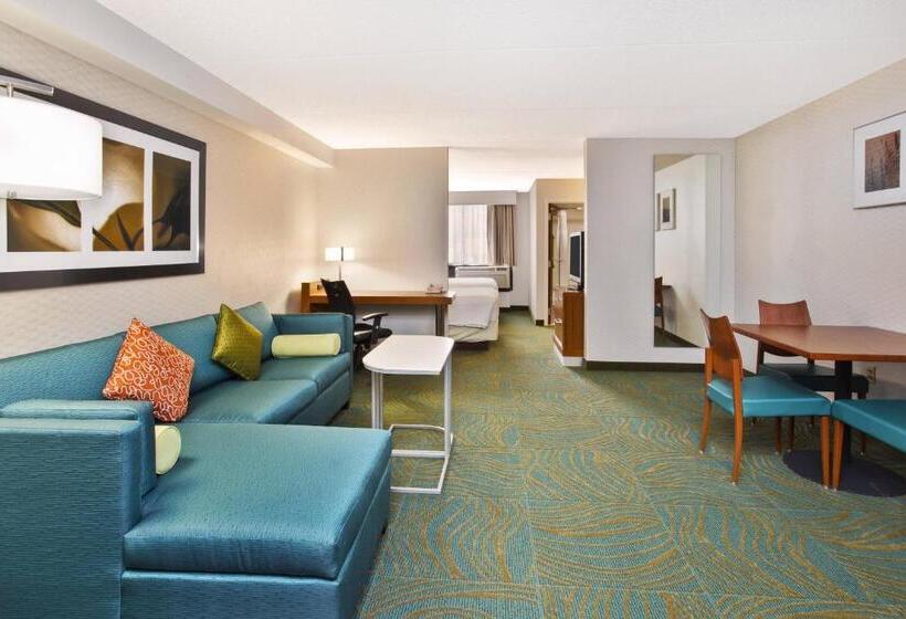 Executive Studio, Springhill Suites By Marriott Chicago Elmhurst Oakbrook Area