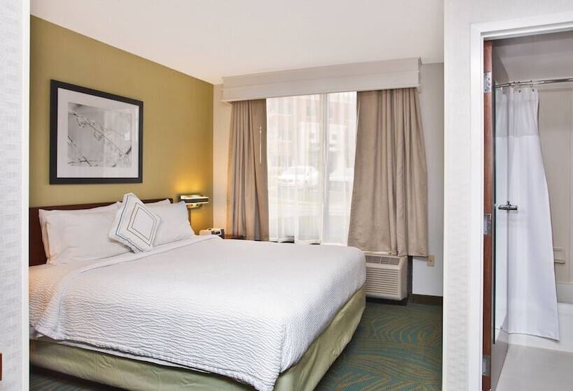 Executive Studio, Springhill Suites By Marriott Chicago Elmhurst Oakbrook Area