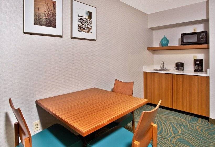 Executive Studio, Springhill Suites By Marriott Chicago Elmhurst Oakbrook Area