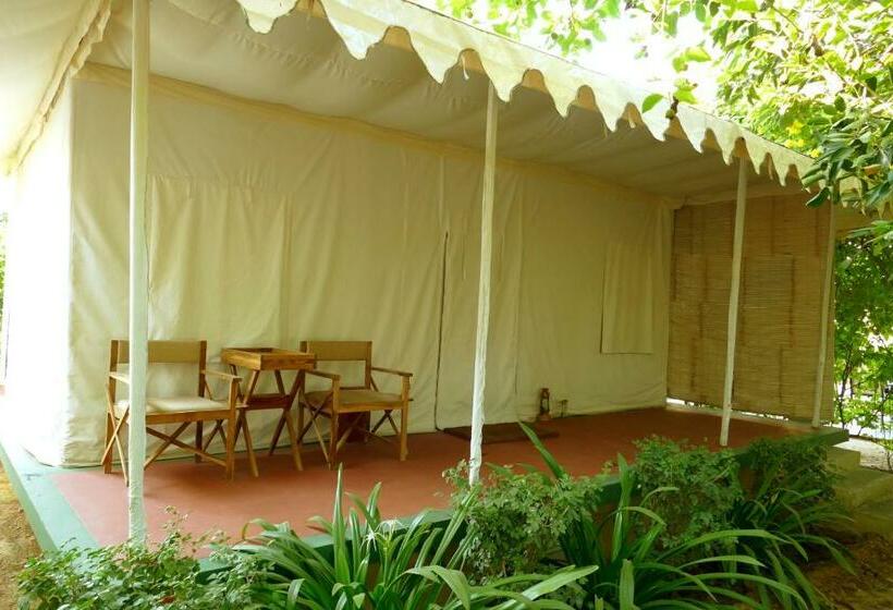 Standard Tent, Madho Bagh