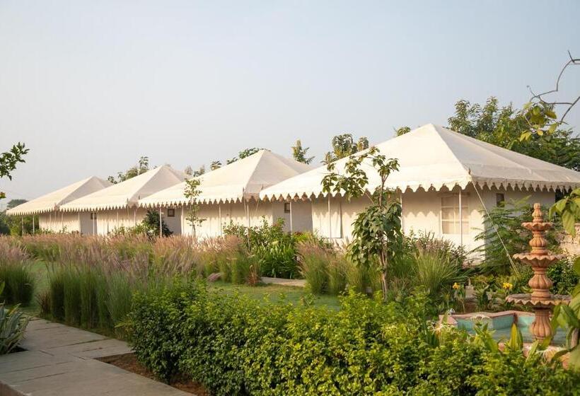 Standard Tent, Madho Bagh