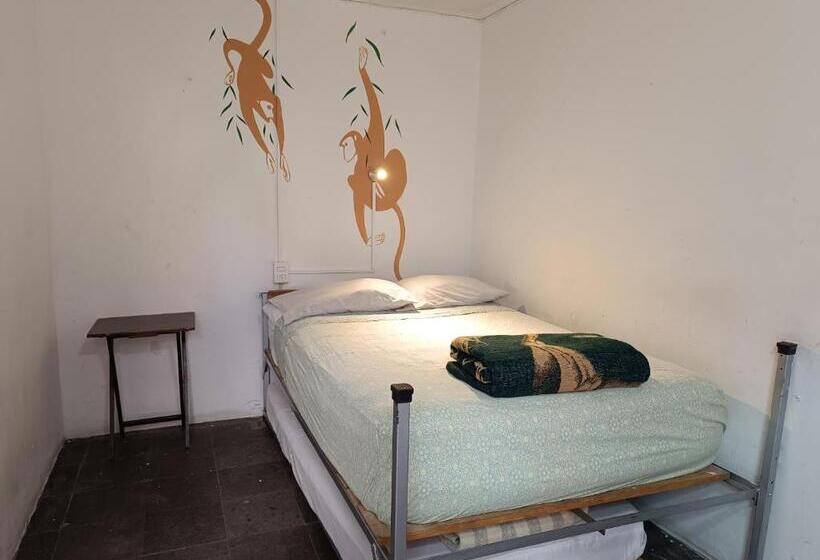 اتاق استاندارد با سرویس بهداشتی مشترک, Monkey Safari Hostel