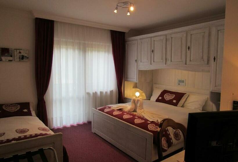 Номер Стандарт, Park Hotel Arnica