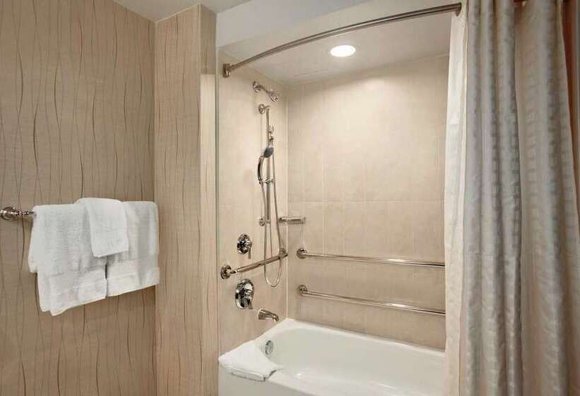 스탠다드 룸, Hilton Garden Inn Harlingen Convention Center