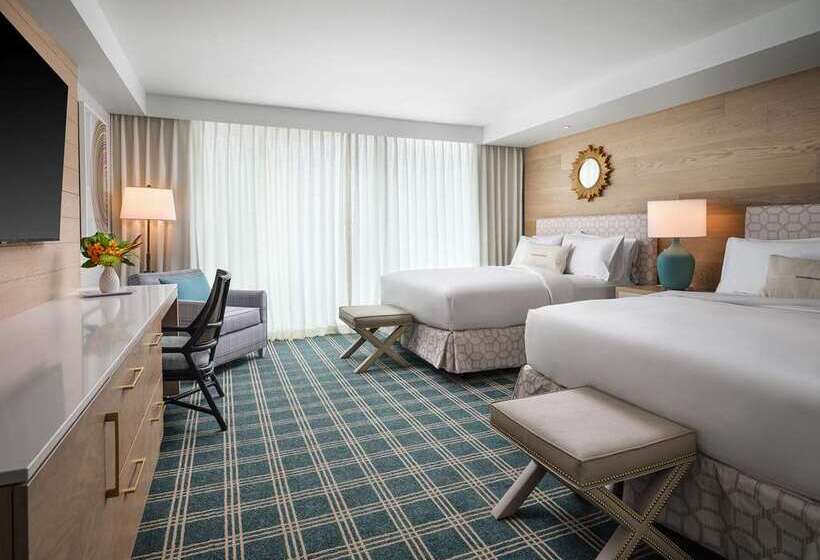프리미엄 룸, Hilton Garden Inn Harlingen Convention Center
