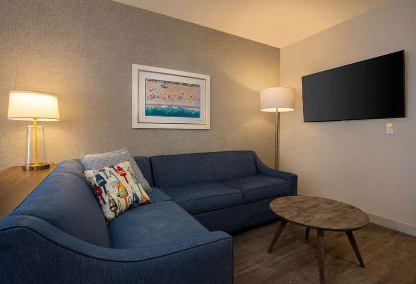 프리미엄 룸, Hilton Garden Inn Harlingen Convention Center