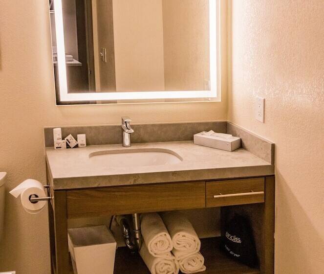 标准工作室, Candlewood Suites Richmond South, An Ihg