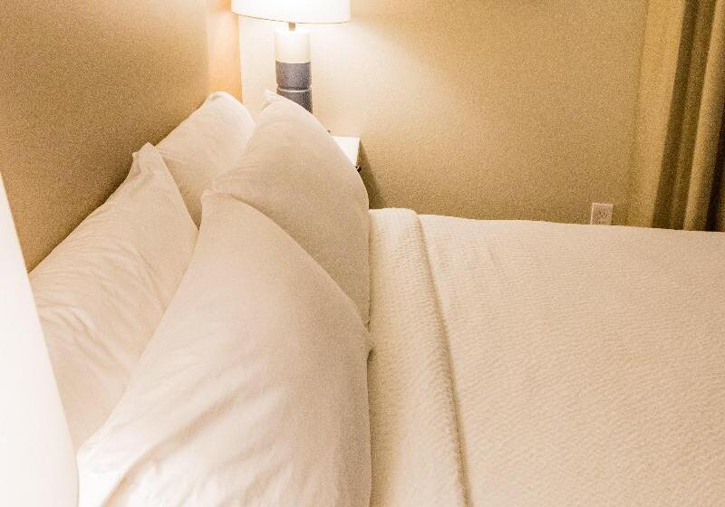 适合残疾人士使用的套间, Candlewood Suites Richmond South, An Ihg