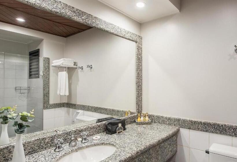 Номер Deluxe, Nacional De Rio Preto  Distributed By Intercity