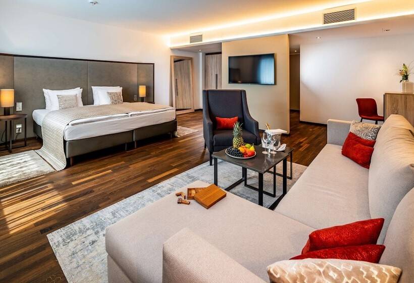 Люкс, Park Plaza Trier