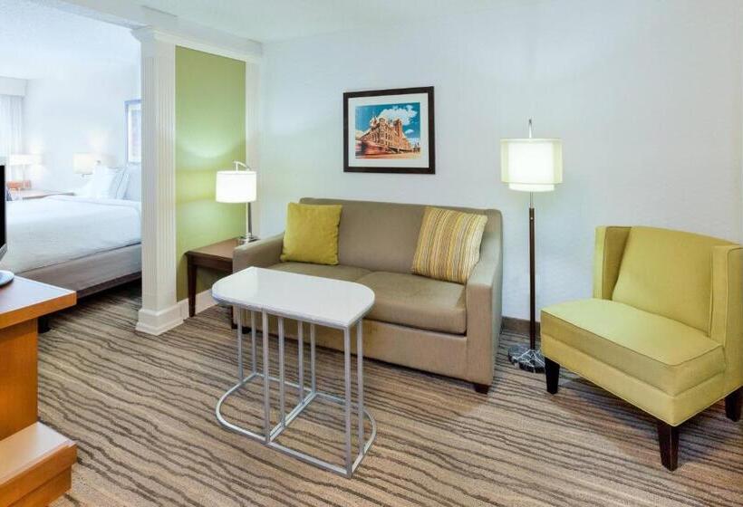 Студио Стандарт Кровать Кинг, Springhill Suites Minneapolis West St. Louis Park