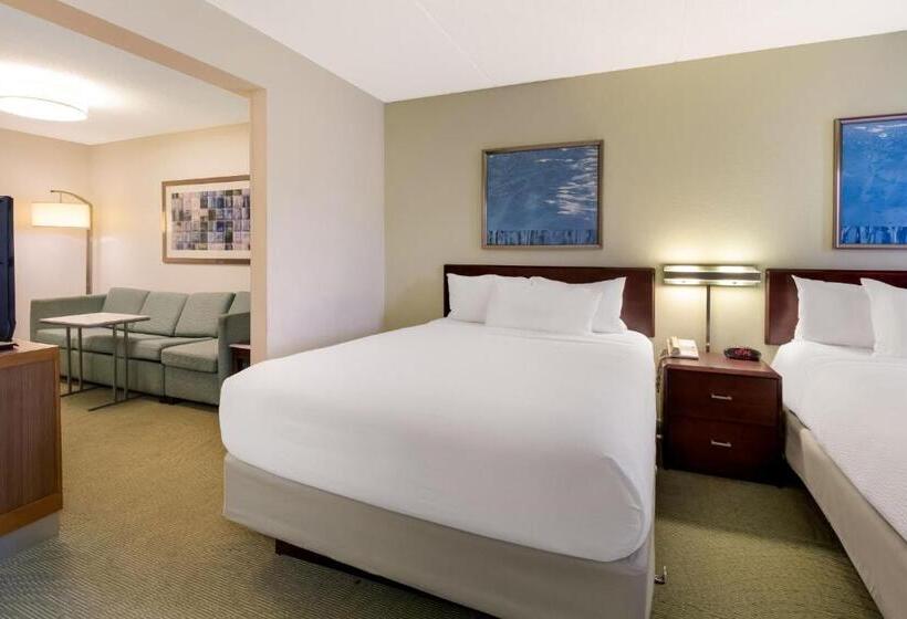 스탠다드 스튜디오, Springhill Suites By Marriott Pittsburgh Washington