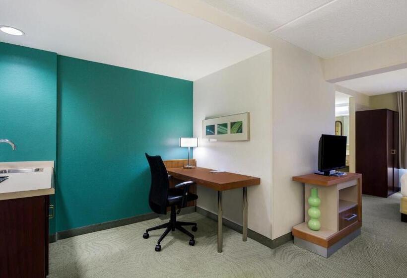 스탠다드 스튜디오 킹침대, Springhill Suites By Marriott Pittsburgh Washington